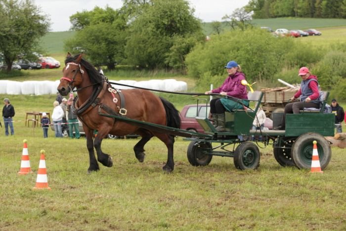 Hlávková Kateřina 34/330 Bára (chl.typ) Hlávková Kateřina 34/330 Bára (chl.typ)