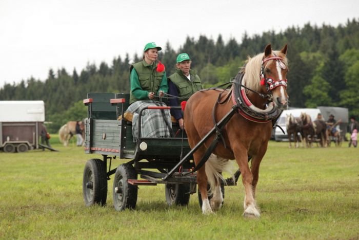 Smigová Pavla Ing. a 17/857 Kaštan (chl. typ) Smigová Pavla Ing. a 17/857 Kaštan (chl. typ)