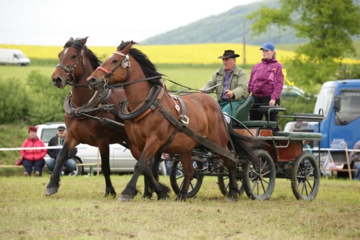 Machač Radomír a 34/330 Bára (chl.typ) + 26/217 Plavka (N) Machač Radomír a 34/330 Bára (chl.typ) + 26/217 Plavka (N)