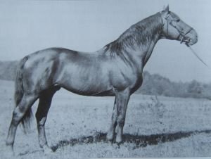 48 Furioso XIV - 27, nar. 1957