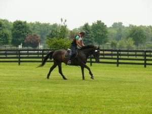 Rychlý pohled na hodinky, zda jde dvojice v optimálním tempu během krosové zkoušky.