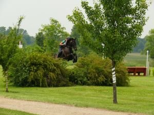 Překonávání krosové překážky