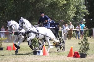 Jiří Nesvačil mladší