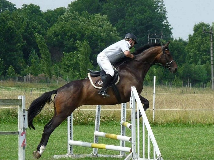 Antipa konečně závodí Antipa konečně závodí