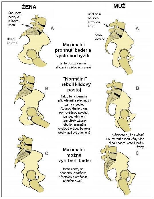 pánev muže a ženy při pohledu zboku v různých pozicích