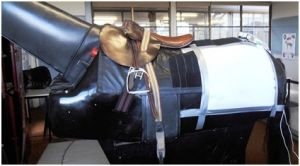 trenažer na měření síly úderu bičíkem