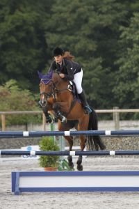 Hana Dostálová - Renaissance