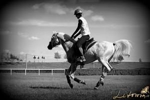 Quo Vadis, Endurance