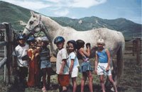 Omner - hiporehabilitace