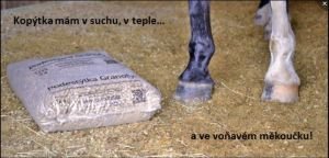 Kopýtka v suchu