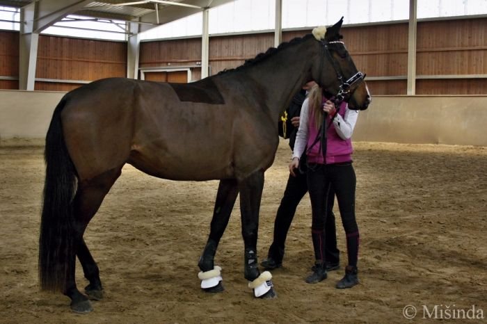 La Panamera-LS po Lord Caletto