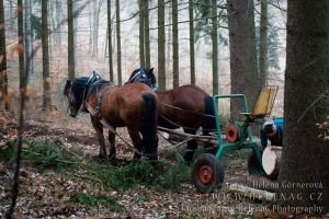 Vladimír Hajtmar při natáčení pořadu.