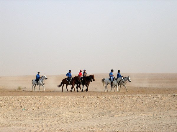 vytrvalost vytrvalost