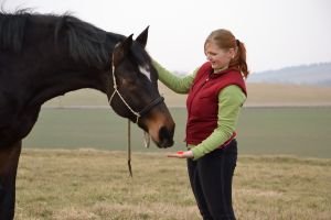 kůň si bere Geloren