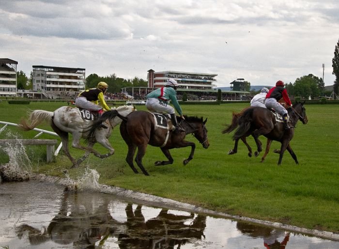 Cross Country Koroka Cross Country Koroka