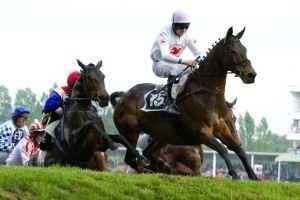 Cena vítězů VP - Orphee des Blins