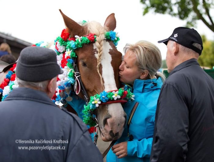 Pěkně teho mého synka nes! Pěkně teho mého synka nes!