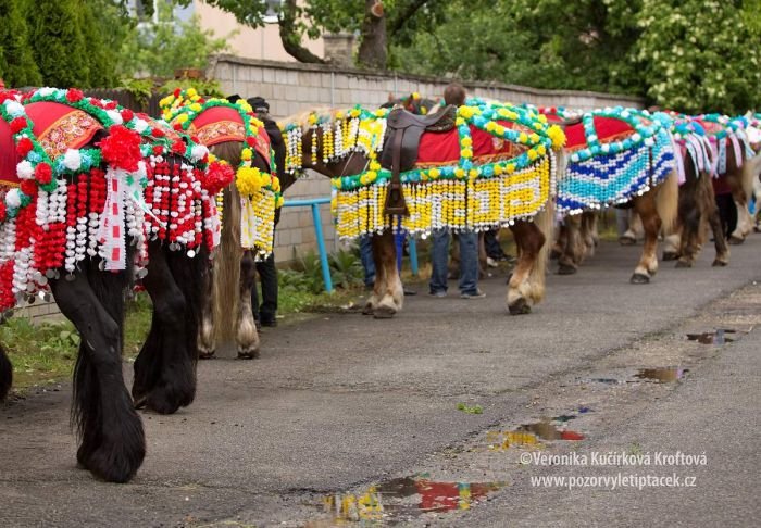 Přestávka Přestávka