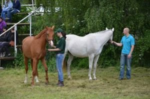 rodina klisny Ruměnky
