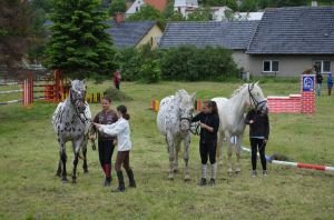 rodina klisny Čiperky