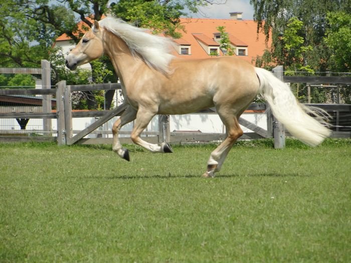 Hafling - DESIDERIA Hafling - DESIDERIA