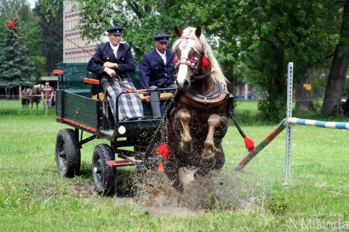 Patriot + Miroslav Ježek ve formance