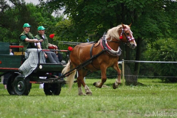 Kaštan + Pavla Smigová