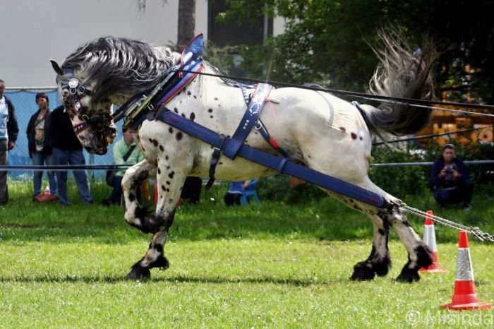 Nacho vsetínský - těžký tah
