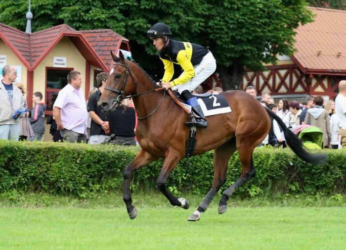 Mama Charlotte Mama Charlotte