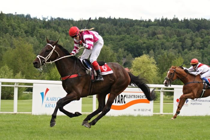 Cheri Honey Cheri Honey