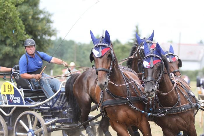 Jiří Nesvačil senior Jiří Nesvačil senior
