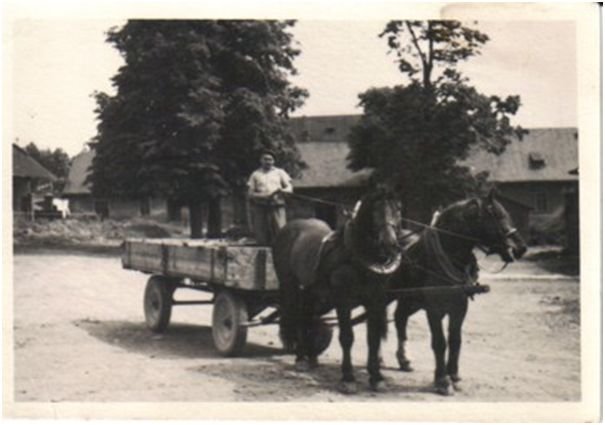Místo teplokrevných začali v Klokočově připravovat chladnokrevné koně