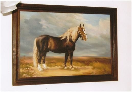 Plemenný hřebec 2914 GOFAL