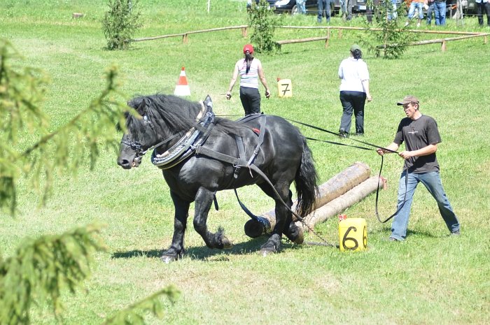 ovladatelnost v kládě ovladatelnost v kládě