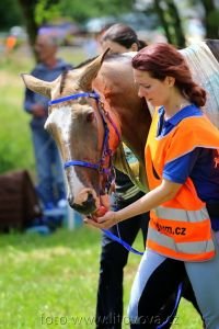 MUDr. Karin Doležalová a Allastar - vítězka S