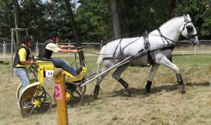 Generalissimus Farina XXXVIII - 57 a Jan Exnar