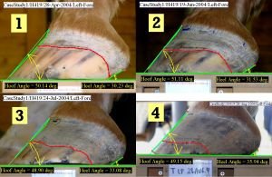 Odrůstání deformací Odrůstání deformací