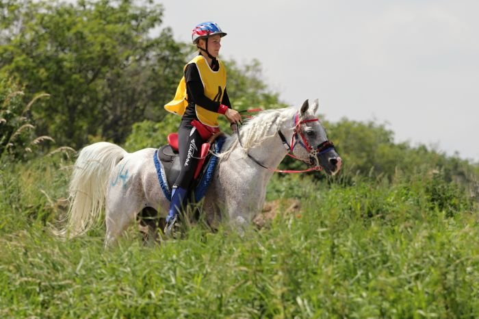 Lorenzová Silvie - Modem