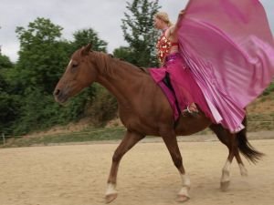 tanečnice s křídly