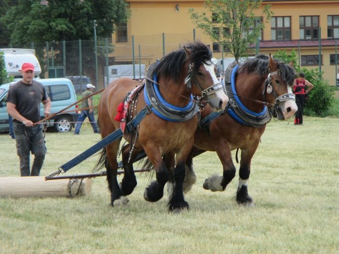 Marián Fizek Marián Fizek