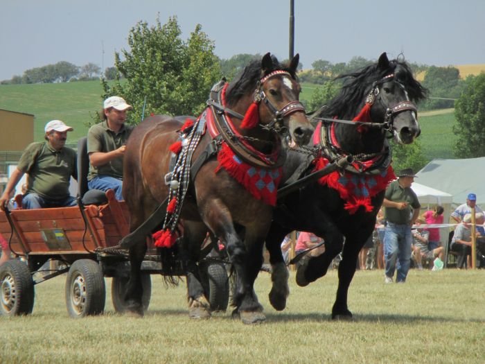 Jozef Matejík Jozef Matejík