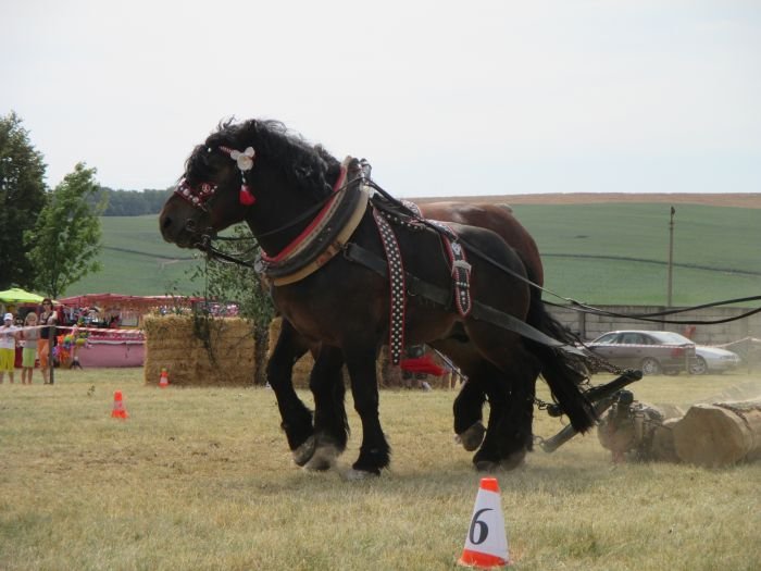 Palo Kitaš v těžkém tahu Palo Kitaš v těžkém tahu