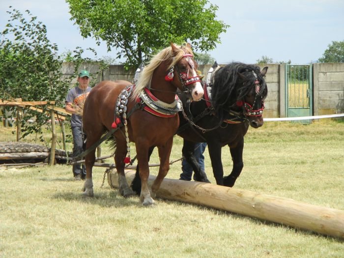 Peter Gnida - Grand a Kuba Peter Gnida - Grand a Kuba