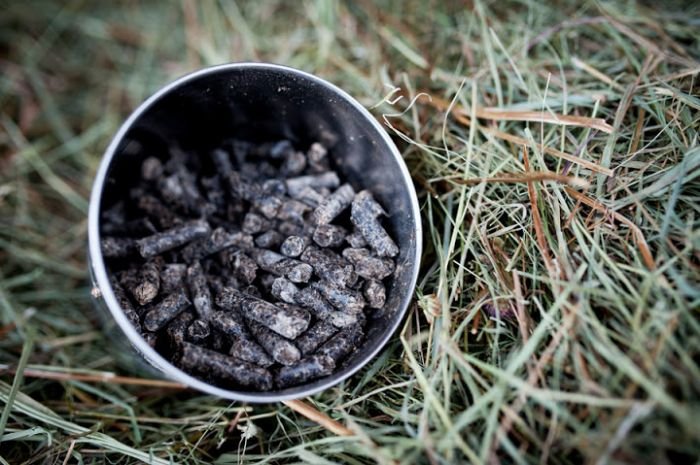 cukrovarské řízky