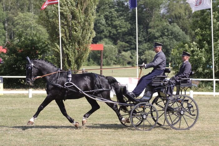 Bartolomiej Kwiatek a Lokan