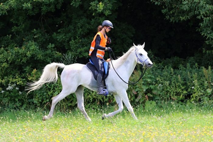 Tereza Kopecká a Tuzemec 13