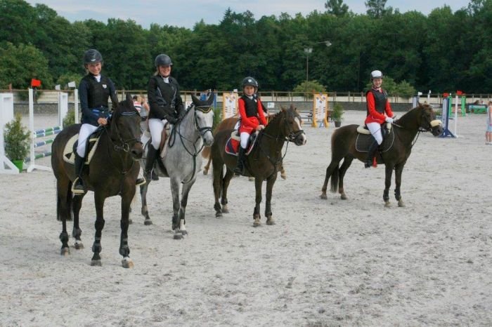 Dekorování - pony handicap ZLP