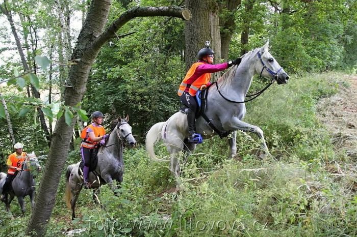 M ČR Borotín 2014 - Tuzemec 13 M ČR Borotín 2014 - Tuzemec 13