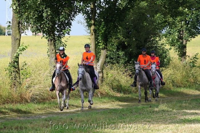 M ČR - s člslem 8 Dean (Petr Hladiš) M ČR - s číslem 8 Dean (Petr Hladiš)