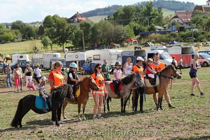 Vytrvalost pony Vytrvalost pony